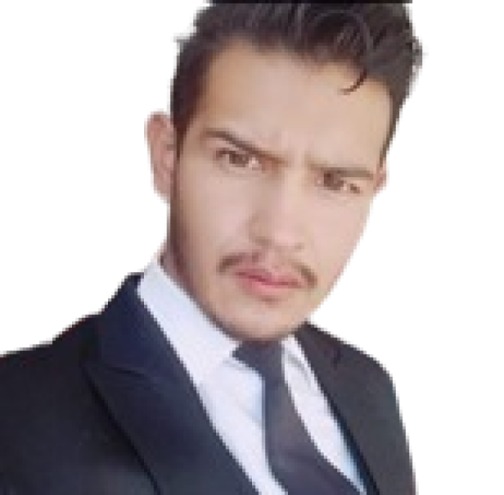 Ejecutivo de Ventas